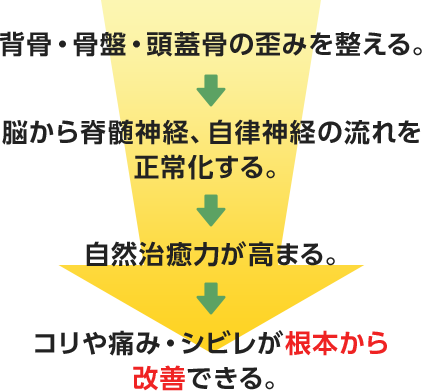 整体が痛みやシビレに効果的な理由